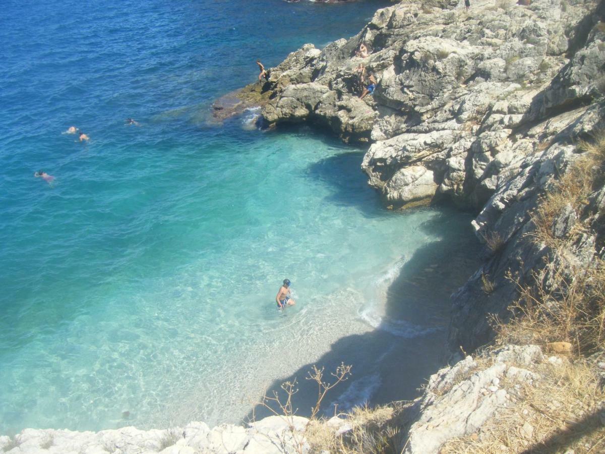 Maui Apartament Alcamo Dış mekan fotoğraf